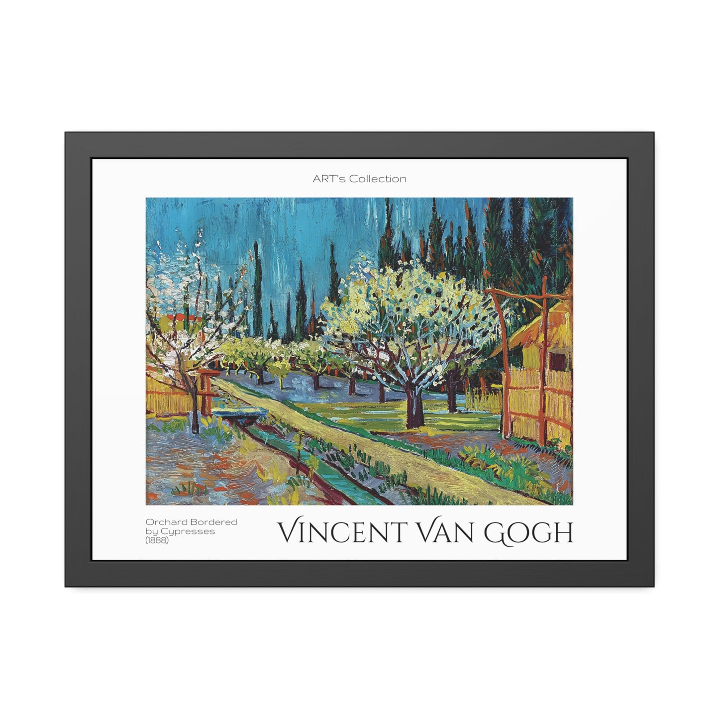 Orchard Bordered by Cypresses (1888) by Vincent Van Gogh / Affiche Encadrée série ART's Collection