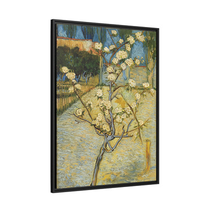 Small pear tree in blossom (1888) by Vincent van Gogh / Toile encadrée sur caisse américaine