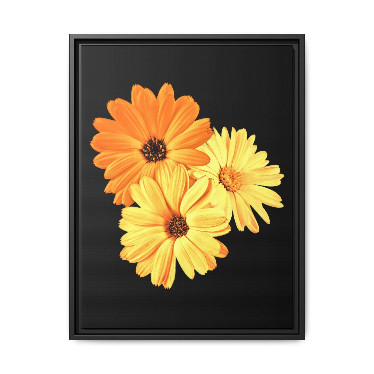 Collection Signature "FLORAL Numéro 8" sur Toile encadrée avec caisse américaine