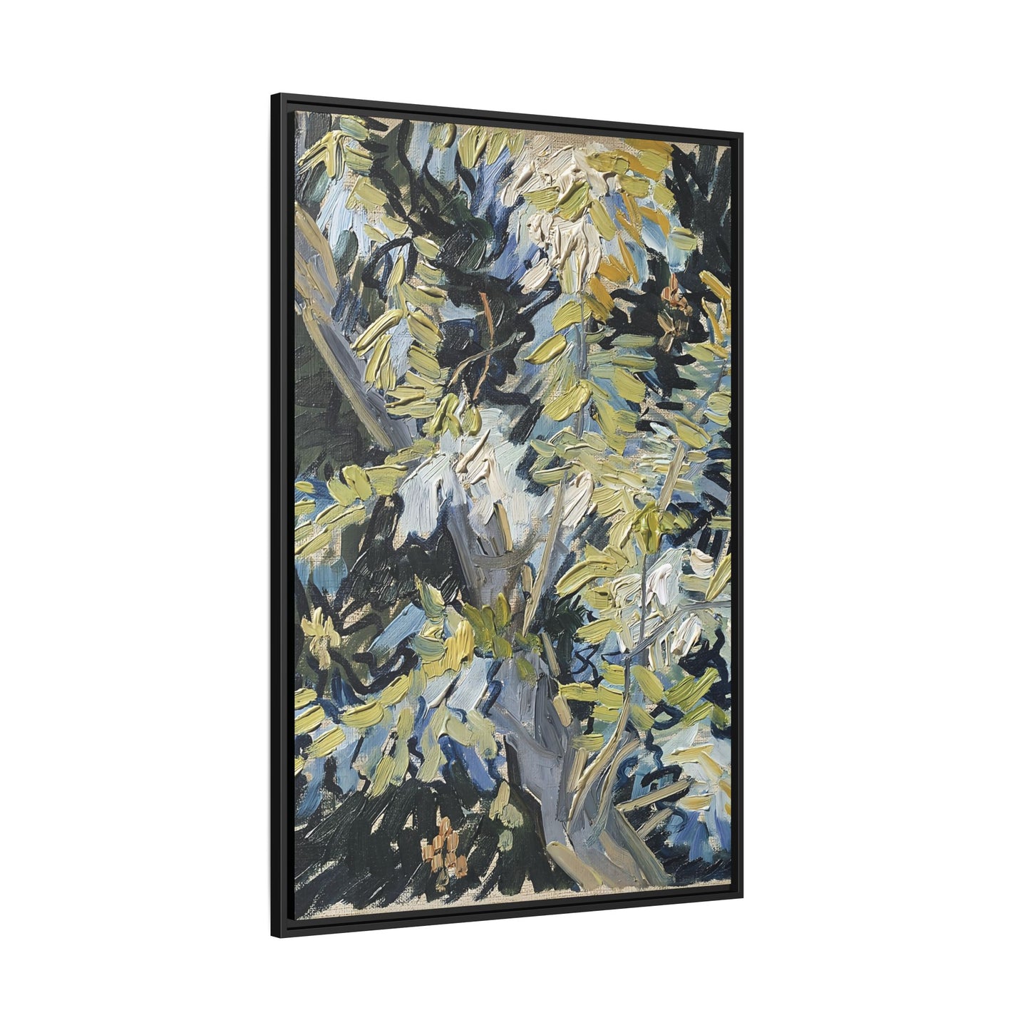 Acacia in Flowers by Vincent van Gogh / Toile encadrée sur caisse américaine